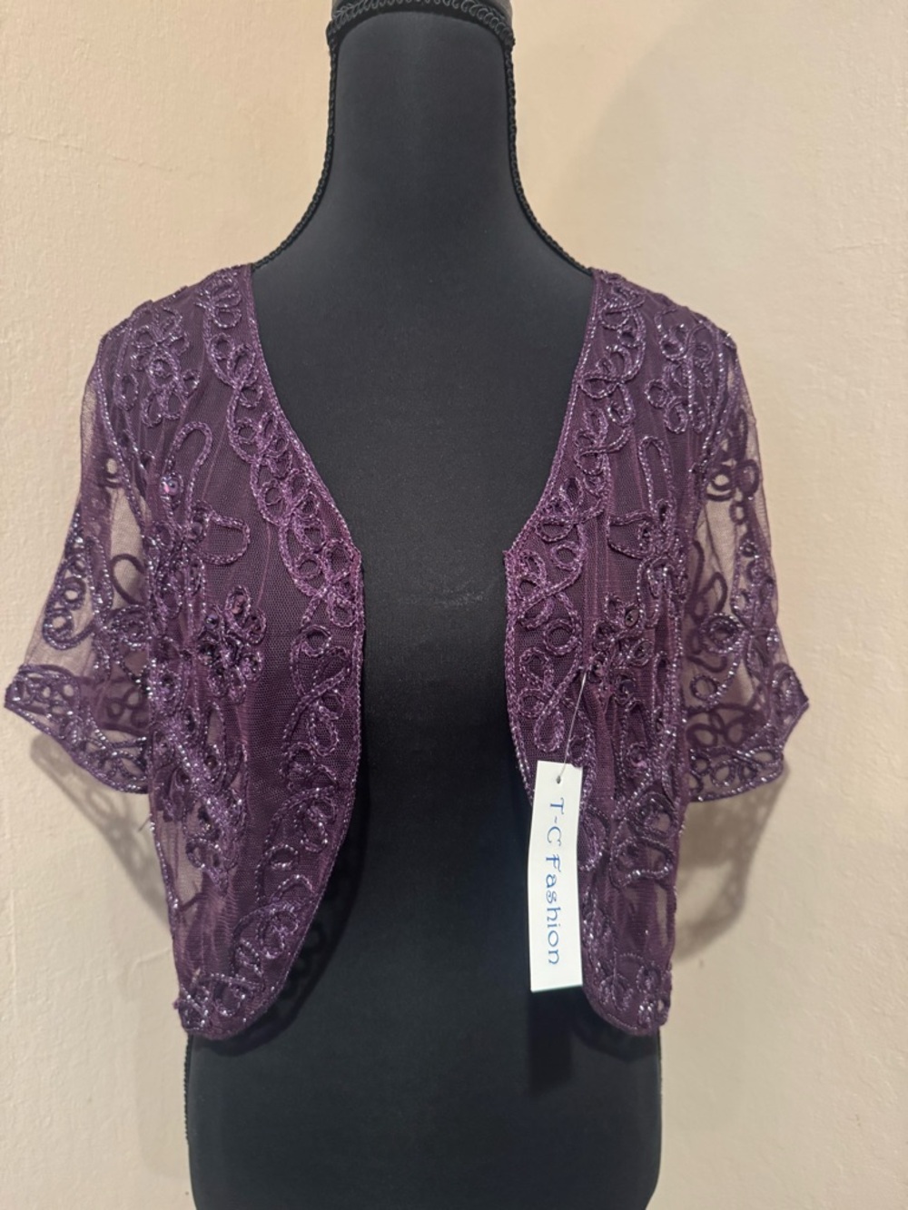 Plum Embroidered Beaded Mesh Bolero with Beadwork, Silver Threading and Sequins - Picture 3 of 8